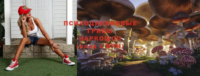 Галлюциногенные грибы Psilocybe  продажа наркотиков  Беслан 