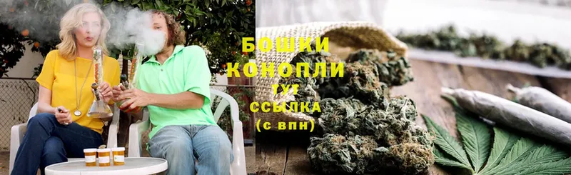 Бошки марихуана SATIVA & INDICA  shop формула  Беслан  как найти наркотики 